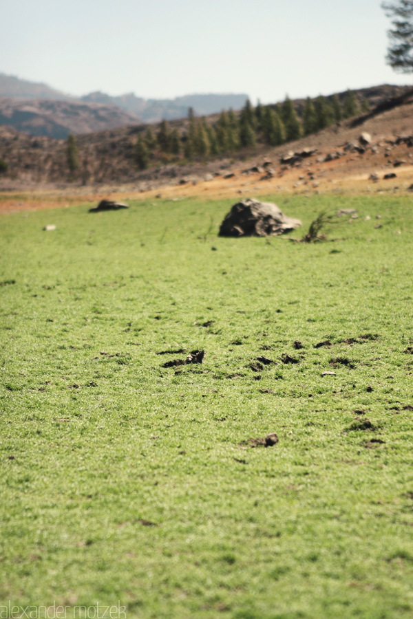 Gran Canaria Foto von Gran Canaria ausgetrockneter Stausee